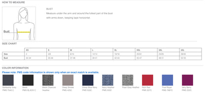 L317- Port Authority Ladies Soft Shell Jacket